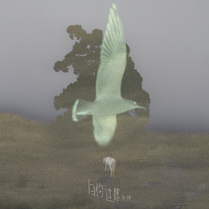 好屌看视频这里精品
