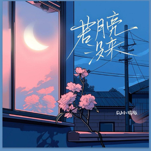 好屌看视频这里精品
