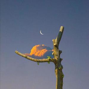 好屌看视频这里精品
